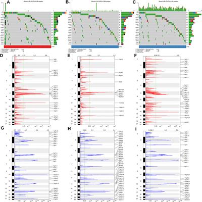 Comprehensive Characterization of Ageing-Relevant Subtypes Associated With Different Tumorigenesis and Tumor Microenvironment in Prostate Cancer